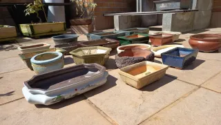 Lote Macetas Bonsái Cerámica