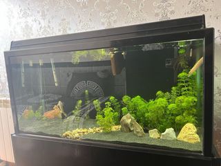 Acuario 200L completo