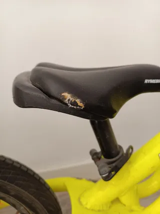 Bicicleta sin pedales amarilla RYMEBIKES