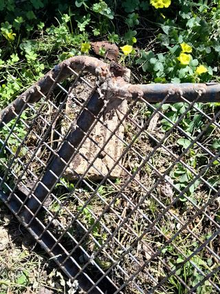 Defensa todoterreno Subaru