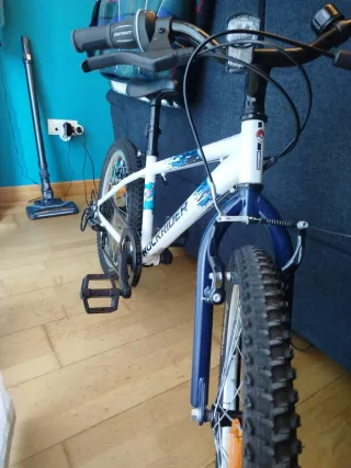 Bicicleta infantil 20 (6-9 años)