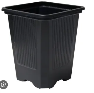 Macetero Teku 7x7x8 cm Negro Nuevo