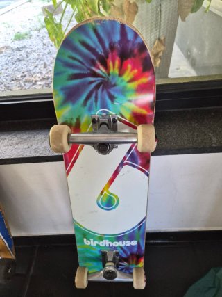 Skate Birdhouse 8''' Tie Dye trucks Element