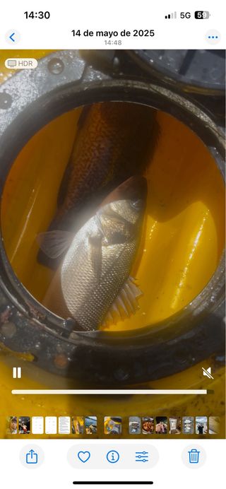 Kayak de pesca Feelfree