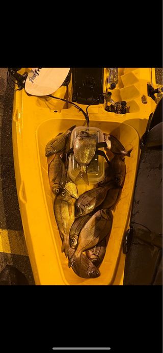 Kayak de pesca Feelfree