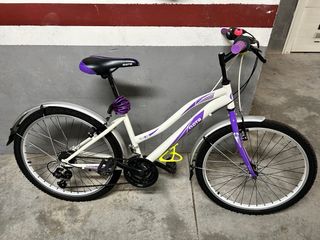 Bicicleta de montaña DTB