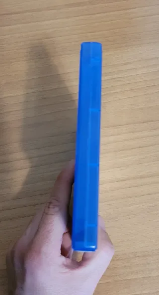 Steep PS4 Versione Europa