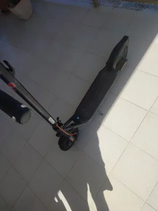 Patinete Eléctrico Segway Ninebot F2 Plus + Cadena