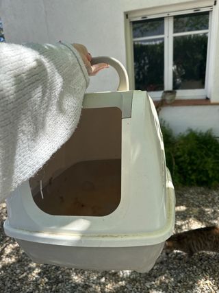 Arenero para gato