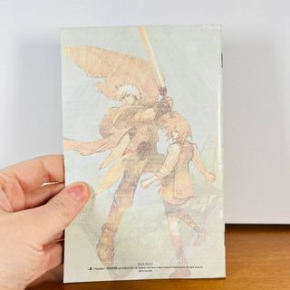 Ever Grace PS2 Italiano Completo - Testato