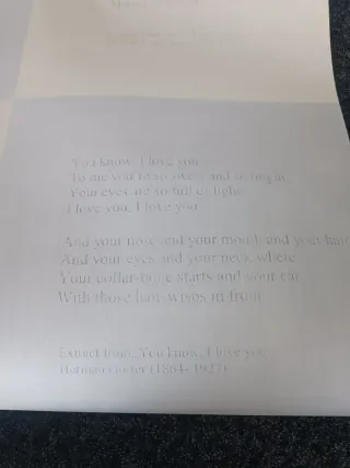 2 Rollos papel pintado Origin frases Herman Gorter