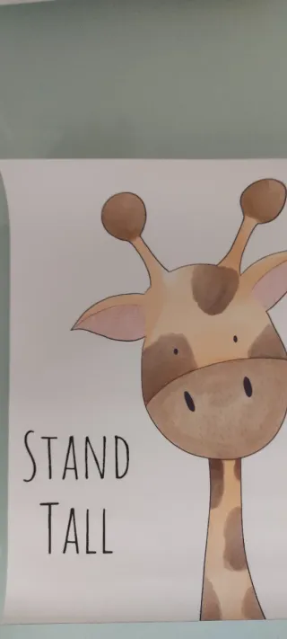 6 Láminas Lienzo Animales