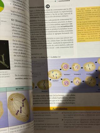 Biología y Geología 4 Andalucía