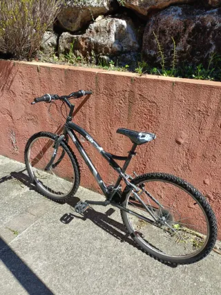 Bicicleta de montaña