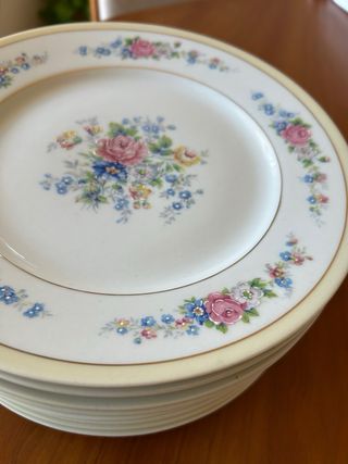 PLATOS LLANOS ANTIGUOS PORCELANA FRANCESA LIMOGES