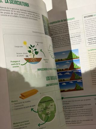 GEOGRAFÍA E HISTORIA 3