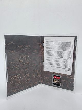 The Legend of Zelda: Tears of the Kingdom 856