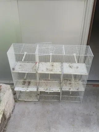 Jaula grande para pájaros