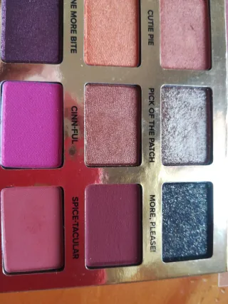 Paleta Sombras Pumpkin Spice Too Faced