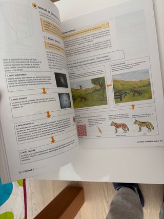 Biología y Geología 4 ESO Andalucía (ESO 2007) ...
