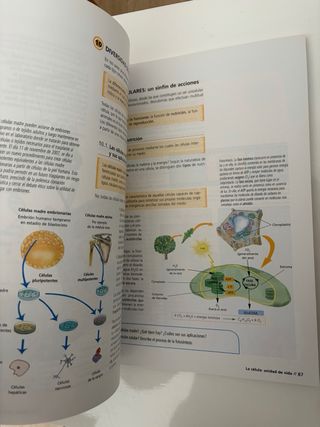 Biología y Geología 4 ESO Andalucía (ESO 2007) ...