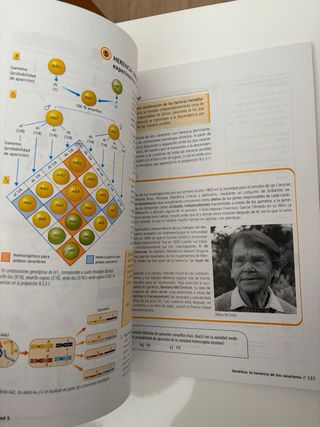 Biología y Geología 4 ESO Andalucía (ESO 2007) ...