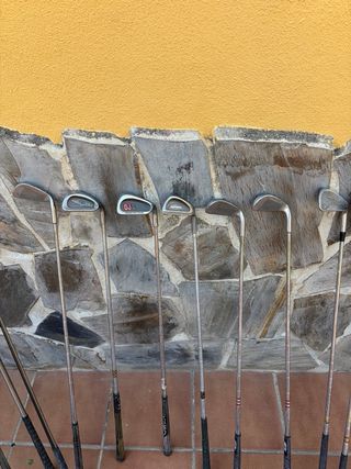 Bolsa de golf Masters y palos