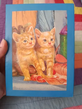 Álbum Fotos RBD Rebelde y High School Musical