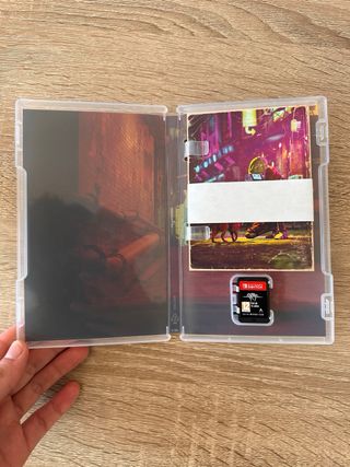 Stray Nintendo Switch