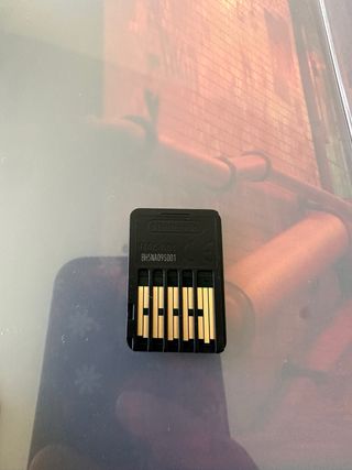 Stray Nintendo Switch