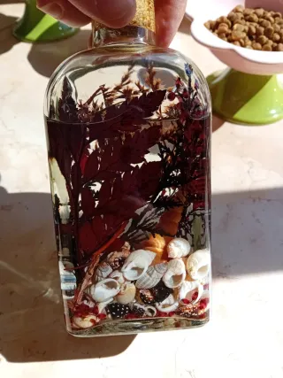 Candela decorativa con conchiglie e rami di fiore