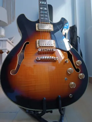 Guitarra Eléctrica Ibanez JSM10 John Scofield