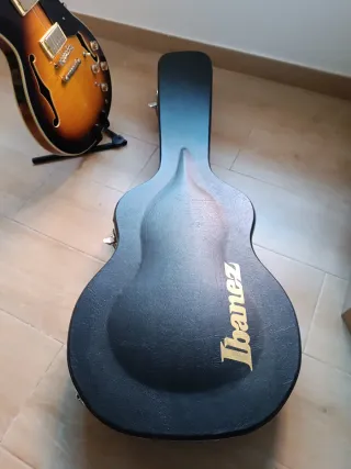 Guitarra Eléctrica Ibanez JSM10 John Scofield