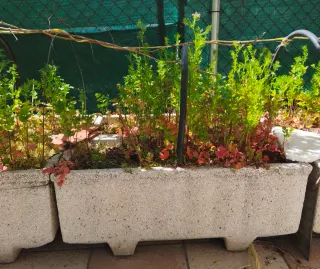 Jardinera de piedra blanca