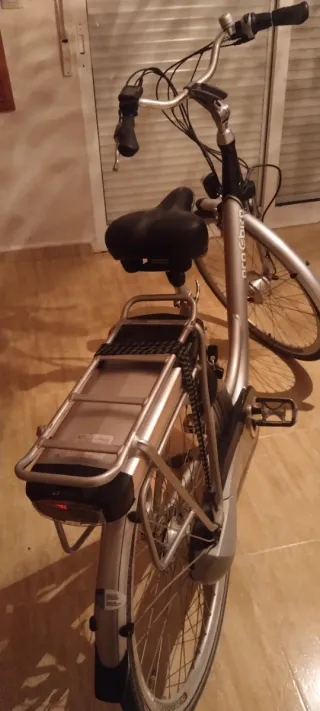Bicicleta Eléctrica Pro e-bike Plata