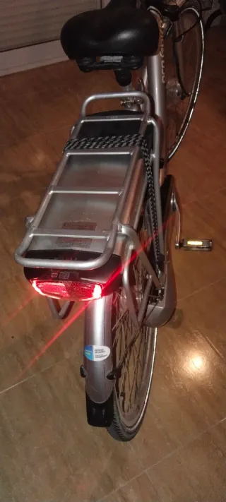 Bicicleta Eléctrica Pro e-bike Plata