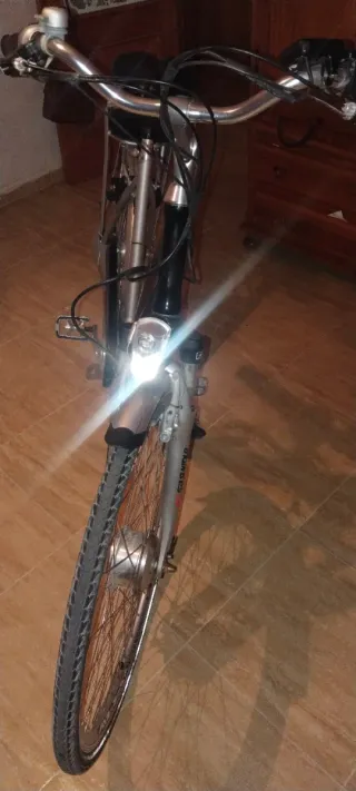 Bicicleta Eléctrica Pro e-bike Plata