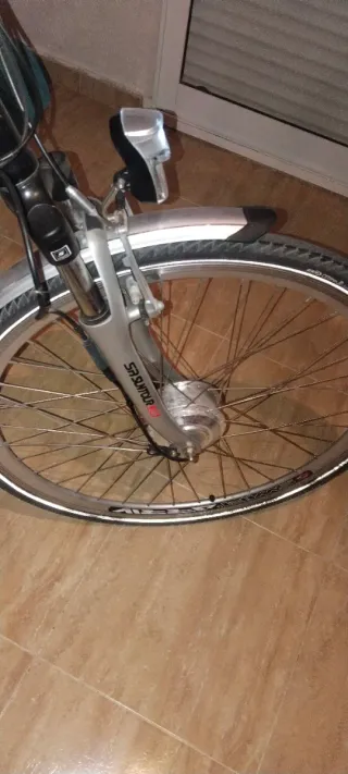 Bicicleta Eléctrica Pro e-bike Plata