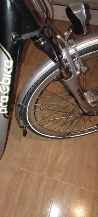 Bicicleta Eléctrica Pro e-bike Plata