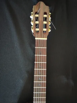 "Rebajada"Guitarra amplificada estrecha  cam