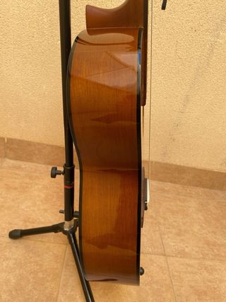 Guitarra Clásica Yamaha C40