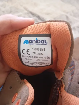 Zapatos de trabajo Anibal nuevos