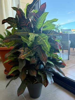 Planta Artificial Fronda 80cm