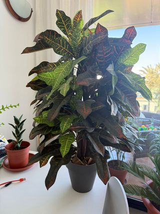 Planta Artificial Fronda 80cm