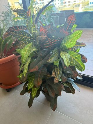 Planta Artificial Fronda 80cm