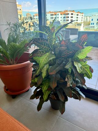 Planta Artificial Fronda 80cm