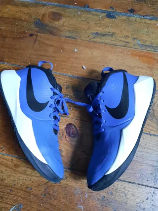 Zapatillas Nike Azules y Blancas