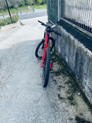 Orbea Oiz 2020