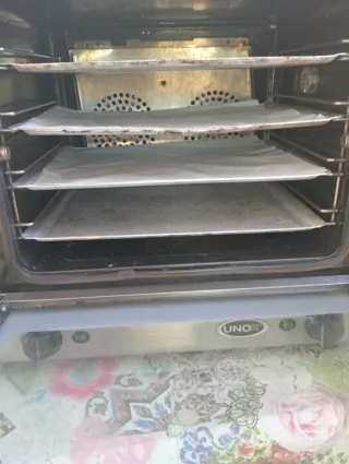 Horno Profesional UNOX