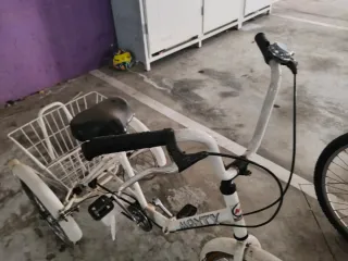 Triciclo Monty Blanco con Cesta